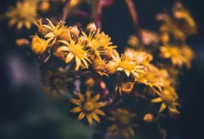 ​屁滚尿流造句,用屁滚尿流怎么造句