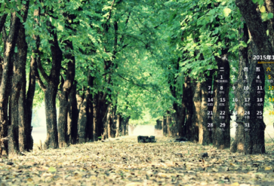 ​人不可貌相造句,用人不可貌相怎么造句