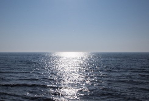 1687607399511194.png image.png