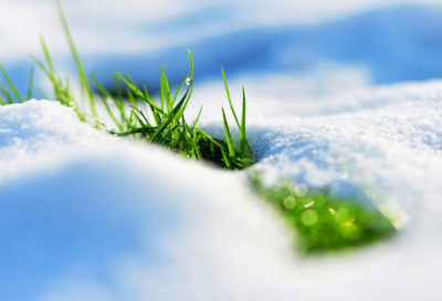 ​飘落在造句,用飘落在怎么造句