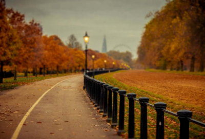 ​桃花造句,用桃花怎么造句