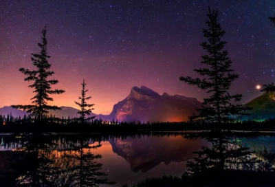 ​市造句,用市怎么造句