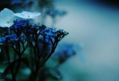 ​不管造句,用不管怎么造句