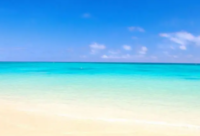 ​我的新同学作文15篇