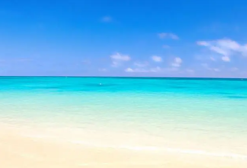 1687609294784066.png image.png