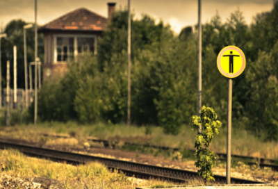 ​河造句,用河怎么造句