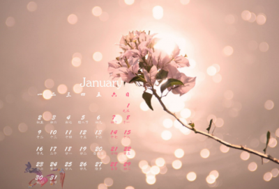 ​井水不犯河水造句,用井水不犯河水怎么造句