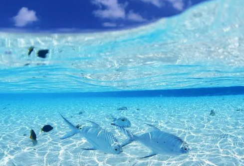 1687610157337485.png image.png