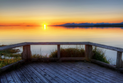 ​蚂造句,用蚂怎么造句