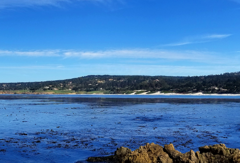 1687610501829972.png image.png