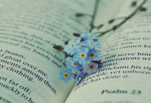 1687610521822411.png image.png