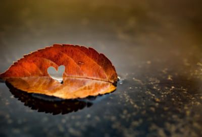 ​不紧不慢造句,用不紧不慢怎么造句