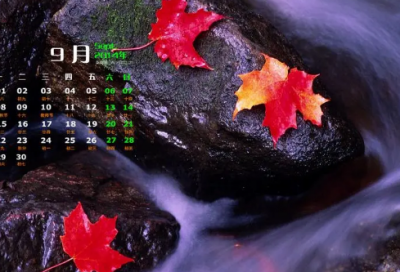 ​有造句,用有怎么造句