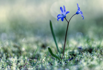 ​寞造句,用寞怎么造句