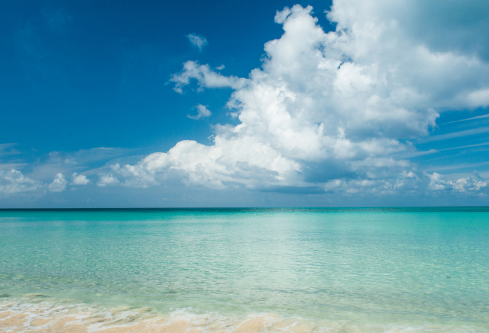 1687612559135486.png image.png