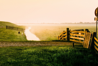 ​中山狼造句,用中山狼怎么造句