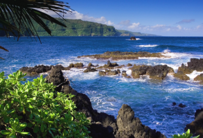 ​精选五年级的作文合集5篇