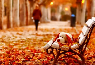 ​街头巷尾造句,用街头巷尾怎么造句