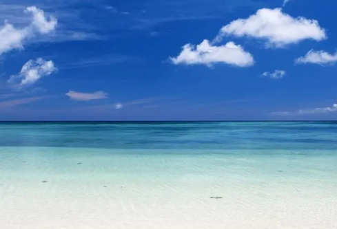 1687613938447436.png image.png