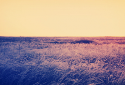 ​声东击西造句,用声东击西怎么造句