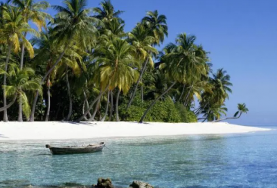 ​最难忘的一件事作文4篇