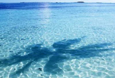 ​关于最美的作文5篇