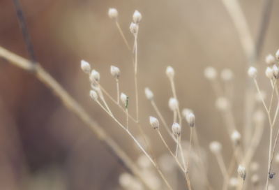 ​假惺惺造句,用假惺惺怎么造句