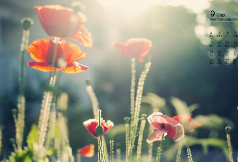 1687615206415781.png image.png