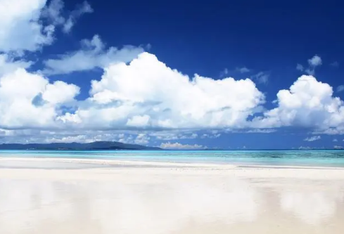 1687615330123191.png image.png