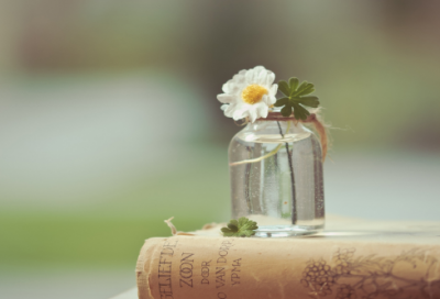 ​因造句,用因怎么造句