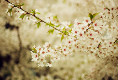 ​就造句,用就怎么造句