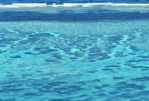 1687616018608268.png image.png