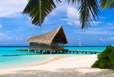 ​自立自强的作文5篇