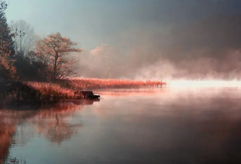 1687616373751151.png image.png