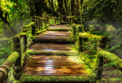 ​多少造句,用多少怎么造句