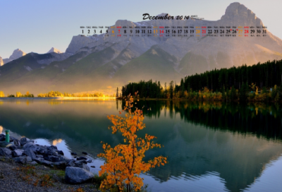 ​偷天换日造句,用偷天换日怎么造句