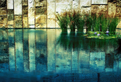 ​甚嚣尘上造句,用甚嚣尘上怎么造句