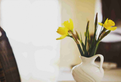 ​每逢佳节倍思亲造句,用每逢佳节倍思亲怎么造句