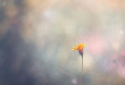 ​热心肠造句,用热心肠怎么造句