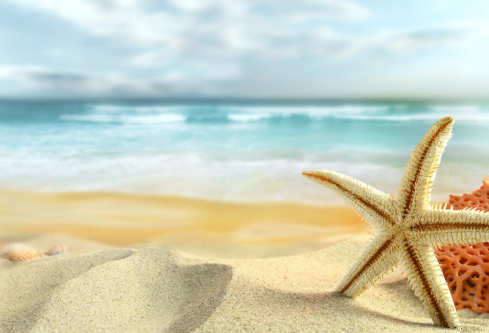 1687620376862294.png image.png