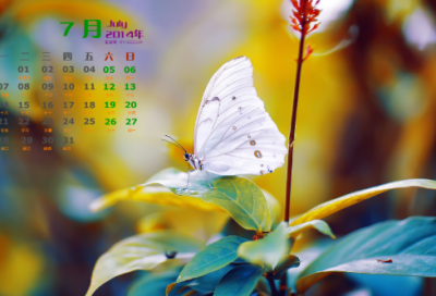 ​委造句,用委怎么造句