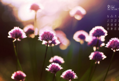 ​垃圾造句,用垃圾怎么造句