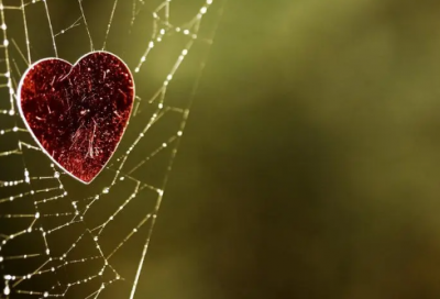 ​只有造句,用只有怎么造句