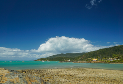 ​冬天的描写作文合集5篇