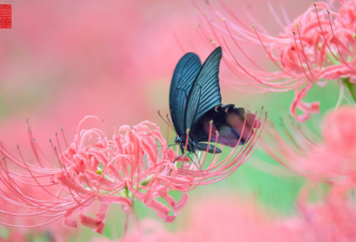 ​坡造句,用坡怎么造句