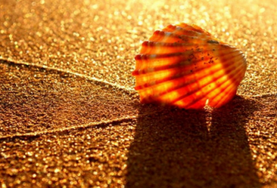 ​装睡造句,用装睡怎么造句