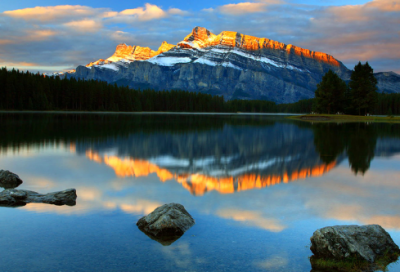 ​明知故犯造句,用明知故犯怎么造句