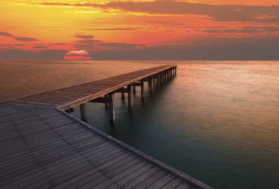 ​关于圣诞节的作文300字6篇