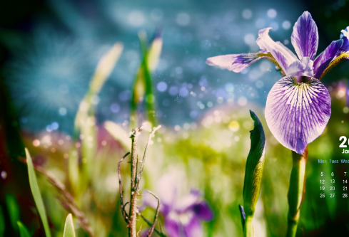 1687626043541572.png image.png