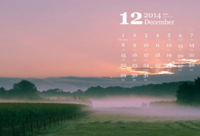 ​海造句,用海怎么造句